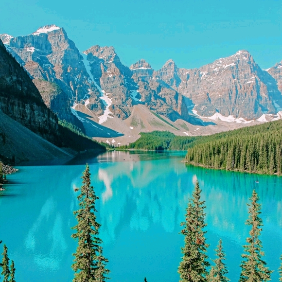 Meet your Posher, Cece - Picture 1 of 1